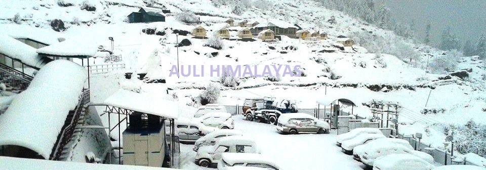 Auli snowfall in winter for skiing course